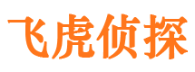 凤泉市场调查